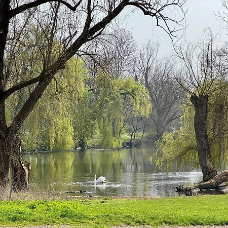 Strasbourg, Appartement Cosy Au Bord De L Eau ภายนอก รูปภาพ