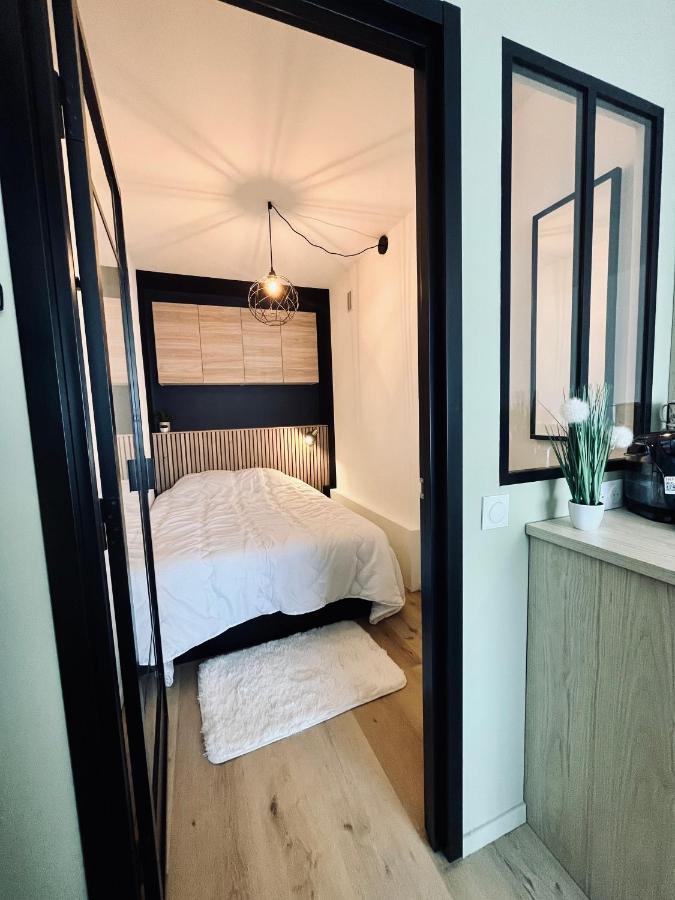 Strasbourg, Appartement Cosy Au Bord De L Eau ภายนอก รูปภาพ