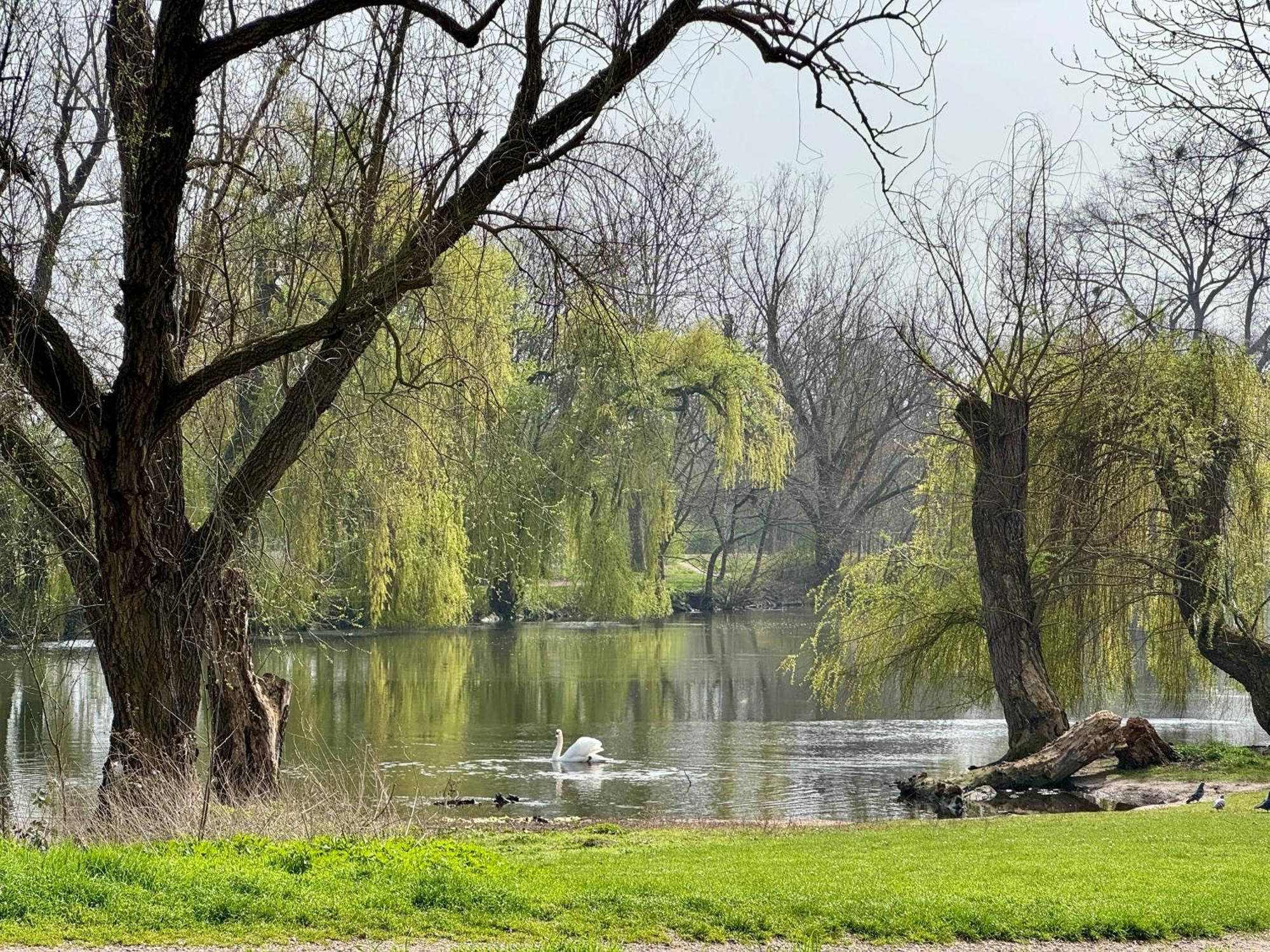 Strasbourg, Appartement Cosy Au Bord De L Eau ภายนอก รูปภาพ